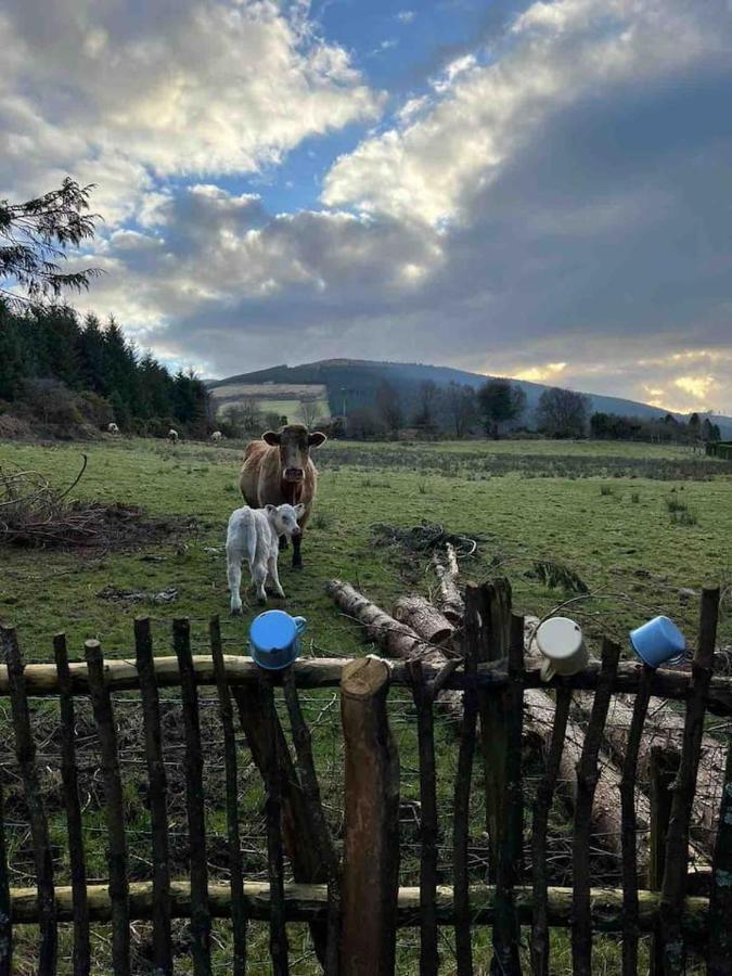 Aughavannagh Yurt Glamping オーリム エクステリア 写真