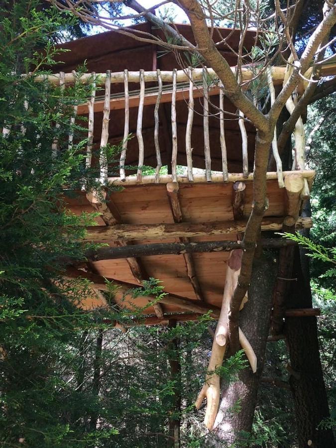 Aughavannagh Yurt Glamping オーリム エクステリア 写真